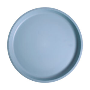 8" NATUREWARE RPET DINNER PLATE--BLUE